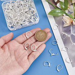 100 pièce de boucles d'oreilles à levier en acier inoxydable chirurgical 316L&nbsp;STAS-BBC0010-61S
