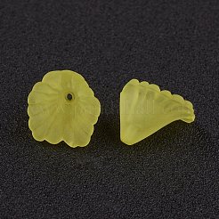 Прозрачные акриловые бусины&nbsp;PL622-C13