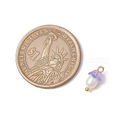 Цветочные акриловые подвески&nbsp;PALLOY-JF03588-10