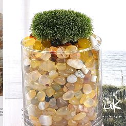 Окрашенные и нагретые натуральные бусины из агата&nbsp;X1-G-J402-04C-01