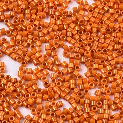 Fgb 11/0 Klasse A Backfarbe Glasperlen&nbsp;X-SEED-S030-1028