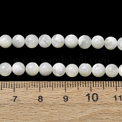 Natürliche Trochidschale / Trochusschalenperlenstränge&nbsp;SH-CBA2978-16A