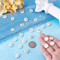 24 pz 12 stili perline di conchiglia d'acqua dolce naturale&nbsp;SHEL-TA0001-42