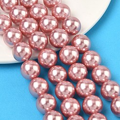 Perles de perles de coquille galvanoplastie&nbsp;BSHE-G041-12mm-05