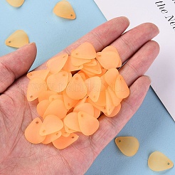 Прозрачные матовые акриловые подвески&nbsp;MACR-S371-09A-719