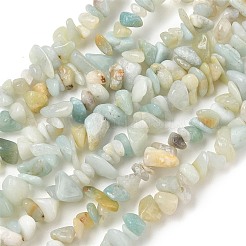 Fili di perline di amazonite di fiori naturali&nbsp;X-G-M205-12B