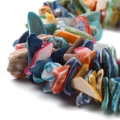 Натуральные спиральные бусы из ракушек&nbsp;X-BSHE-B003-17