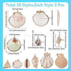 20 pz 10 stili pendenti in conchiglia mista naturale elettroplaccata&nbsp;SHEL-SC0002-08