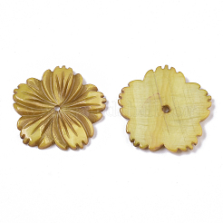 Бусины из натуральных пресноводных ракушек&nbsp;X-SHEL-N026-10