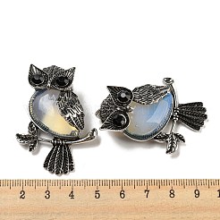 Opalite подвески&nbsp;G-H308-01AS-03