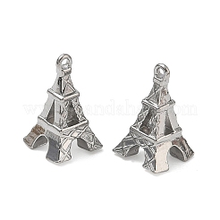Colgantes de acero inoxidable 304&nbsp;SA-CBAD574-01P