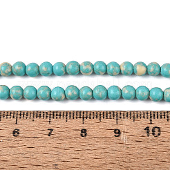 Kunsttürkisfarbenen Perlen Stränge&nbsp;G-N364-08A-01