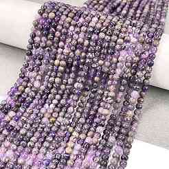 Perline Charoite naturale fili&nbsp;G-M438-A03-01