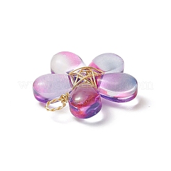 5шт 5 цветной стеклянный кулон&nbsp;PALLOY-TA00014