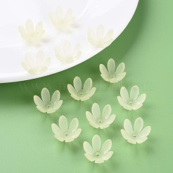 Прозрачные акриловые бусины&nbsp;MACR-S373-47-D03