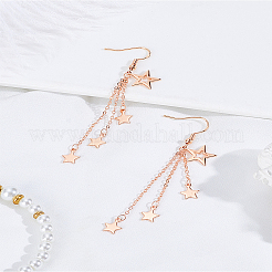 1 paire de boucles d'oreilles pendantes à pampilles en laiton en forme d'étoile&nbsp;EJEW-LP0007-113RG