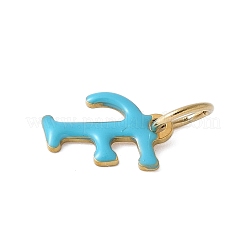 Dijes de esmalte de acero inoxidable 304&nbsp;STAS-G353-01G-F