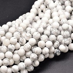 Howlite de pierre naturelle chapelets de perles rondes, 10mm, Trou: 1mm, Environ 40 pcs/chapelet, 15.1 pouce