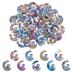 DICOSMETIC 54Pcs 9 Styles Alloy Printed Pendants, Cadmium Free & Nickel Free & Lead Free, Moon with Owl, Mixed Color, 20.5x16x1.5mm, Hole: 1.5mm, 6pcs/style