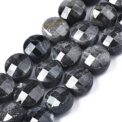 Natürliche schwarze Seide Stein / Netstone Perlen Stränge, facettiert, Flachrund, 9.5~10.5x6 mm, Bohrung: 1~1.2 mm, ca. 38 Stk. / Strang, 14.57 Zoll ~ 14.72 Zoll (37 cm ~ 37.4 cm)