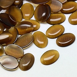 Cat Eye Cabochons, Oval, Saddle Brown, 18x13x2.5~3.5mm
