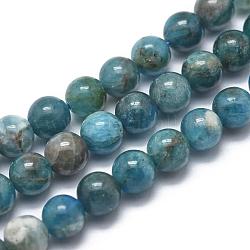 Natural Apatite Beads Strands, Grade AB, Round, 10mm, Hole: 1.2mm, about 41pcs/strand, 14.9 inch(38cm)