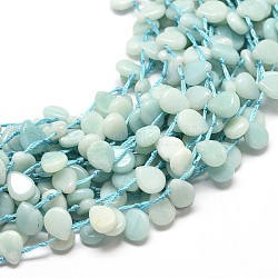 Brins de perles de larme d'amazonite naturelle, perles percées, 10x8x4mm, Trou: 1mm, Environ 28 pcs/chapelet, 16 pouce
