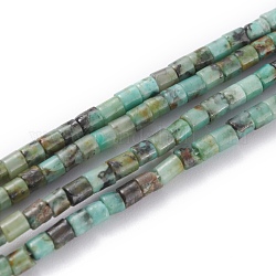 Fili di perle naturali di turchese africano (diaspro), colonna, 2x2mm, Foro: 0.8 mm, circa 154~160pcs/filo, 15.16~15.75 pollici (38.5~40 cm)
