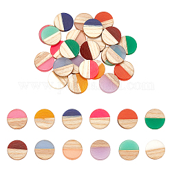 Cabujones de resina & madera, plano y redondo, dos tonos, color mezclado, 15x3.5mm, 12 colores, 2 piezas / color, 24 unidades / caja