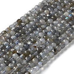Chapelets de perles en labradorite naturelle , facette, carrée, 4.5x4.5x4.5mm, Trou: 0.8mm, Environ 85~98 pcs/chapelet, 14.76''~15.98'' (37.5~40.6 cm)