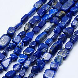 Filo di Perle lapis lazuli naturali , pietra burrattata, pepite, grado ab, 5~12x4~9mm, Foro: 1 mm, 15.7 pollice ~ 15.9 pollici (40~40.5 cm)