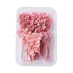 Fleurs séchées, accessoires de fabrication de savon bougie bricolage, avec boîte rectangulaire en plastique, rose, 7.3~14x2.1~8.2 cm