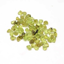 Натуральный оливин чип бусины, упавший камень, нет отверстий / незавершенного, 3~9x1~4 мм