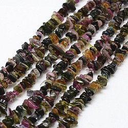 Chapelets de perles en tourmaline naturelle, puce, couleur mixte, 3~5x7~13x2~4mm, Trou: 0.4mm, 16 pouce