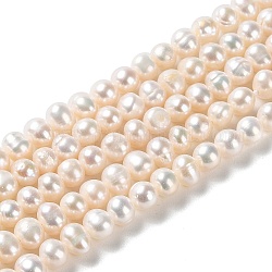 Fili di perle di perle d'acqua dolce coltivate naturali, patata, grado 3 un, papayawhip, 3.5~5.5x4~4.5mm, Foro: 0.5 mm, circa 80pcs/filo, 13.86 pollice (35.2 cm)