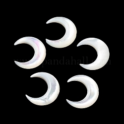 Cuentas de concha natural de blanco, luna creciente, blanco floral, 11x12x3mm, agujero: 0.7 mm