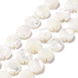 Natural Trochid Shell Beads Strands, Fish, White, 13x13x3.5mm, Hole: 0.5mm, about 31pcs/strand, 15.83 inch(40.2cm)