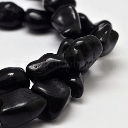 Pépites teintes brins de perles de howlite naturelles, noir, 11~17x10~17mm, Trou: 1mm, environ 15.7 pouce