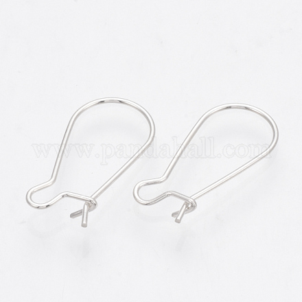 925 Sterling Silver Earring Hooks STER-Q185-01A-1