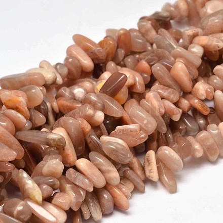 Chip Natural Sunstone Beads Strands G-L454-13-1