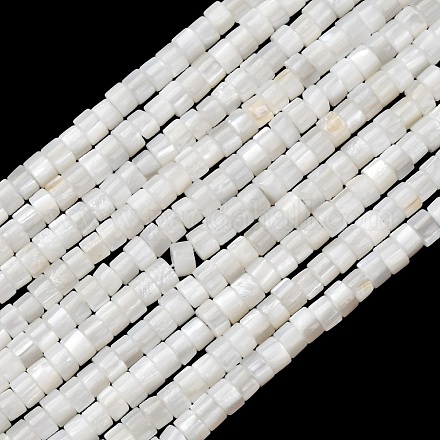 Natürlichen Süßwasser-Muschelperlen Stränge SHEL-K006-72C-1