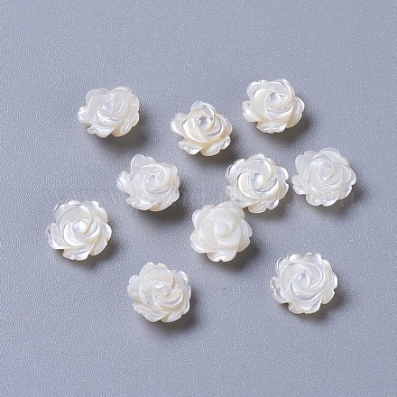 Natural White Shell Mother of Pearl Shell Cabochons SSHEL-L014-02-1