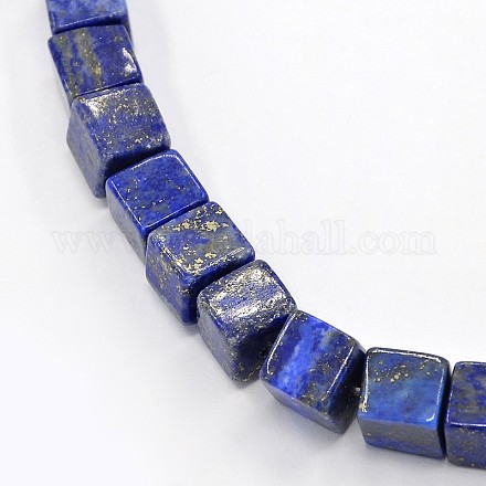 Cube Shape Natural Lapis Lazuli Bead Strands G-N0045-8x8mm-04-1