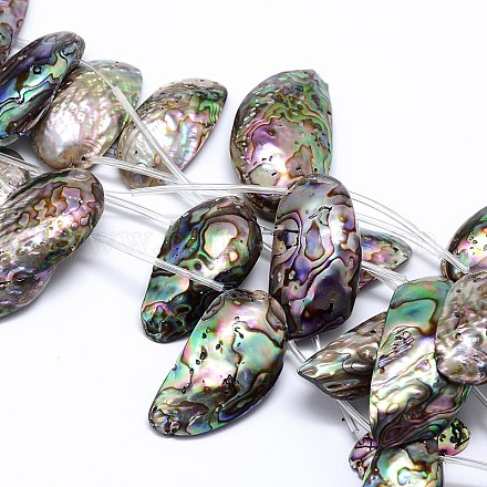 Chapelets de perles de coquille de paua naturelles SSHEL-J047-04-1