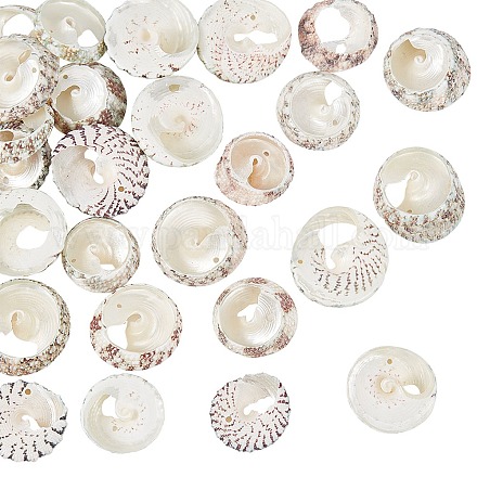 Perles de coquillage en spirale naturelle SSHEL-NB0001-15-1