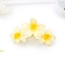 Flower Plastic Claw Hair Clips, Hair Accessories for Women & Girls, Yellow, 107.5x65x61mm