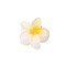 Plastic Claw Hair Clips, Hair Accessories for Women & Girls, Flower, Yellow, 40mm