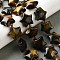 Natural Tiger Eye Beads Strands, with Seed Beads, Star, 20x21x10mm, Hole: 1.2mm, about 19pcs/strand, 15.59''~16.02''(39.6~40.7cm)