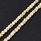 Fili di perle di conchiglia trochid naturale / trochus SSHEL-S266-023B-01-2