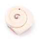 Spirale naturelle pendentifs coquille BSHE-B003-11-2